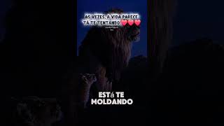 Motivação diária: #youtubeshorts #reflexão #deustemumapalavrapravoce #shortsviral #shortvideos #fe