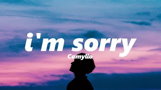 Camylio - i'm sorry (slowed   reverb)