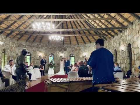cheetah-ring-bearer-at-a-wedding-at-the-farm-inn-in-pretoria.