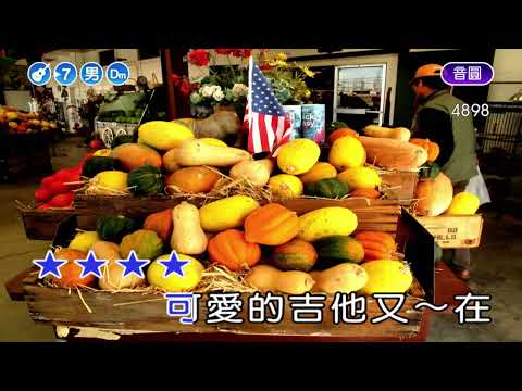 你那好冷的小手~銀霞~男Dm調~伴奏導唱