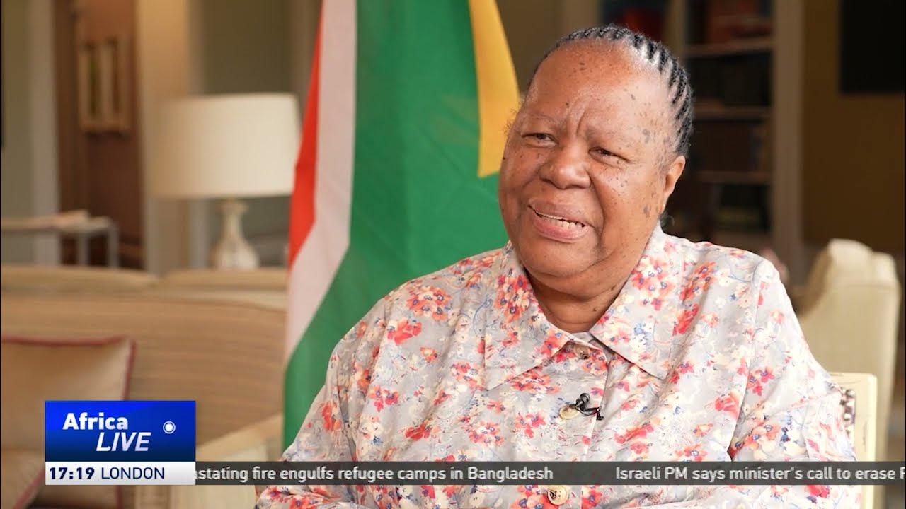 South African foreign minister hails China’s peace plan in resolving Ukraine conflict