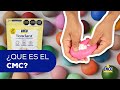 ✨ Todo sobre el CMC y el Fondant: ¡Secretos que debes conocer! 💜
