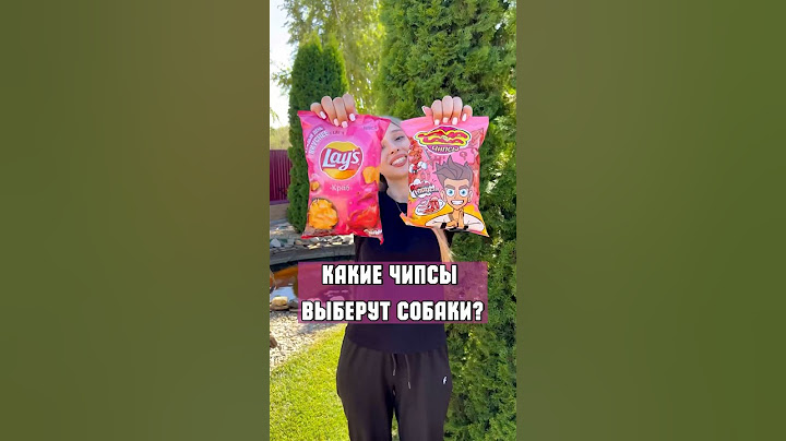 КАКИЕ ЧИПСЫ ВЫБЕРУТ СОБАКИ: lays или lava lava?