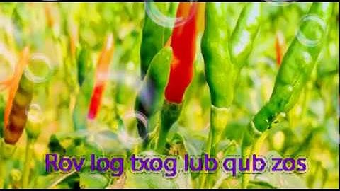 Rov log txog kuv lub qub zog karaoke