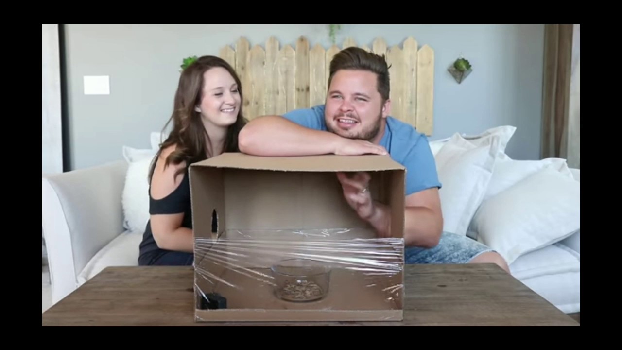 Daily Bumps Best And Funniest Moments (Family Edition) - YouTube
