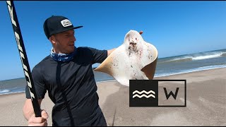 Hoy SI! VARIADA. Miren el Fusible para la piedra. Surfcast