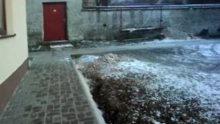 Davajte Pozor Na Svojich Psov Silvester Je Za Dverami