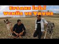 YAVUZ VE VENÜS EFSANE İKİLİ ( PANTERLER )