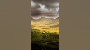 Unlocking Success: The Power of Mindset Transformation for Personal Growth and Achievement