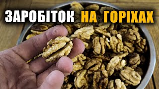 картинка: Робимо 150 тисяч на горіхах