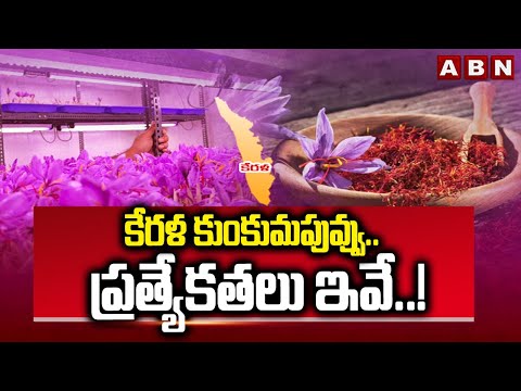 కేరళ కుంకుమపువ్వు..ప్రత్యేకతలు ఇవే..! | Specialities Of Kerala Saffron (Kumkumapuvvu) | ABN Telugu - ABNTELUGUTV