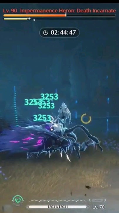 aalto-is-d-tier-main-dps-aalto-lv70-s6-vs-impermanence-heron