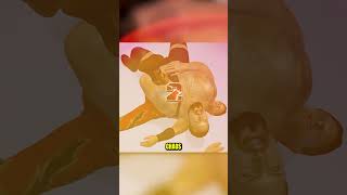Top 5 WWE Games of All Time 🏆🎮 #wwe #wweshorts