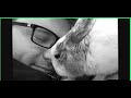 Lulu Forever... Tribute to lulu the bunny