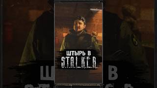 ШТЫРЬ В S.T.A.L.K.E.R. #shorts #игры #игрынапк #stalker