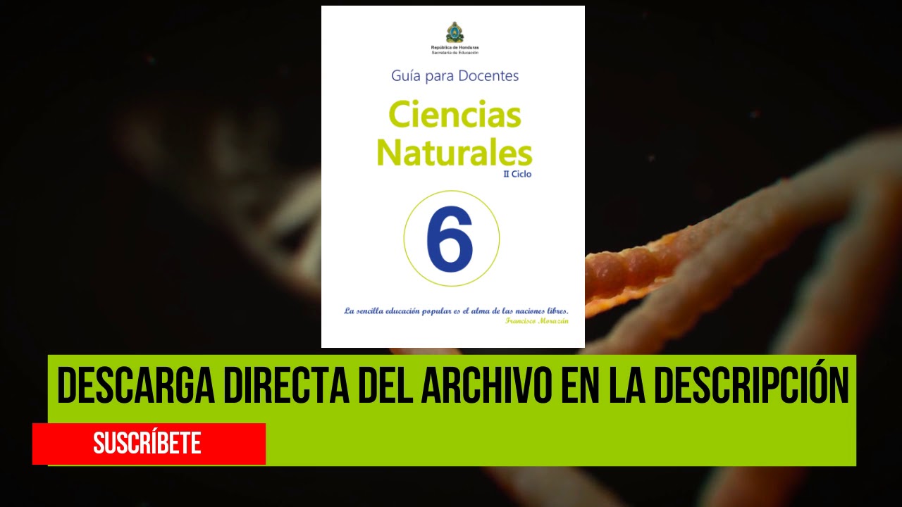 6to Ciencias Naturales Guia Del Maestro Sexto Grado Youtube