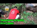 Por fin 4garramos el cusuco-Armadillo-Increíble el tamaño de este animal-casi nos desmayamos