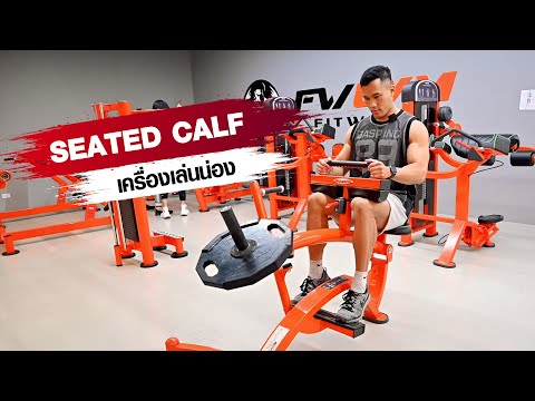 SEATED CALF เครื่องสร้างกล้ามน่อง