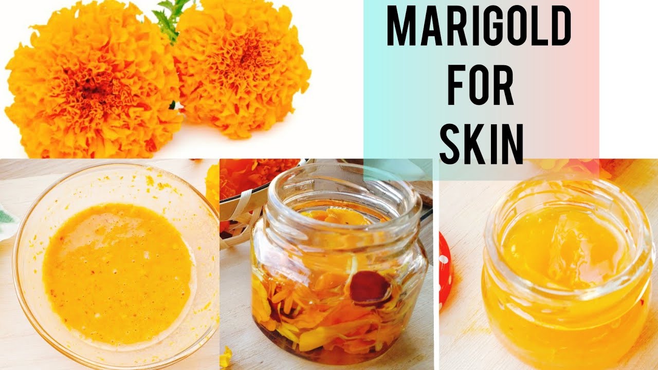 MARIGOLD Excellent benefit to skin and face. YouTube