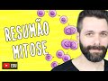 RESUMO sobre MITOSE | Biologia com Samuel Cunha