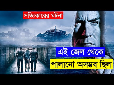 ভিডিও: পলাতক কি সত্য ঘটনা অবলম্বনে ছিল?