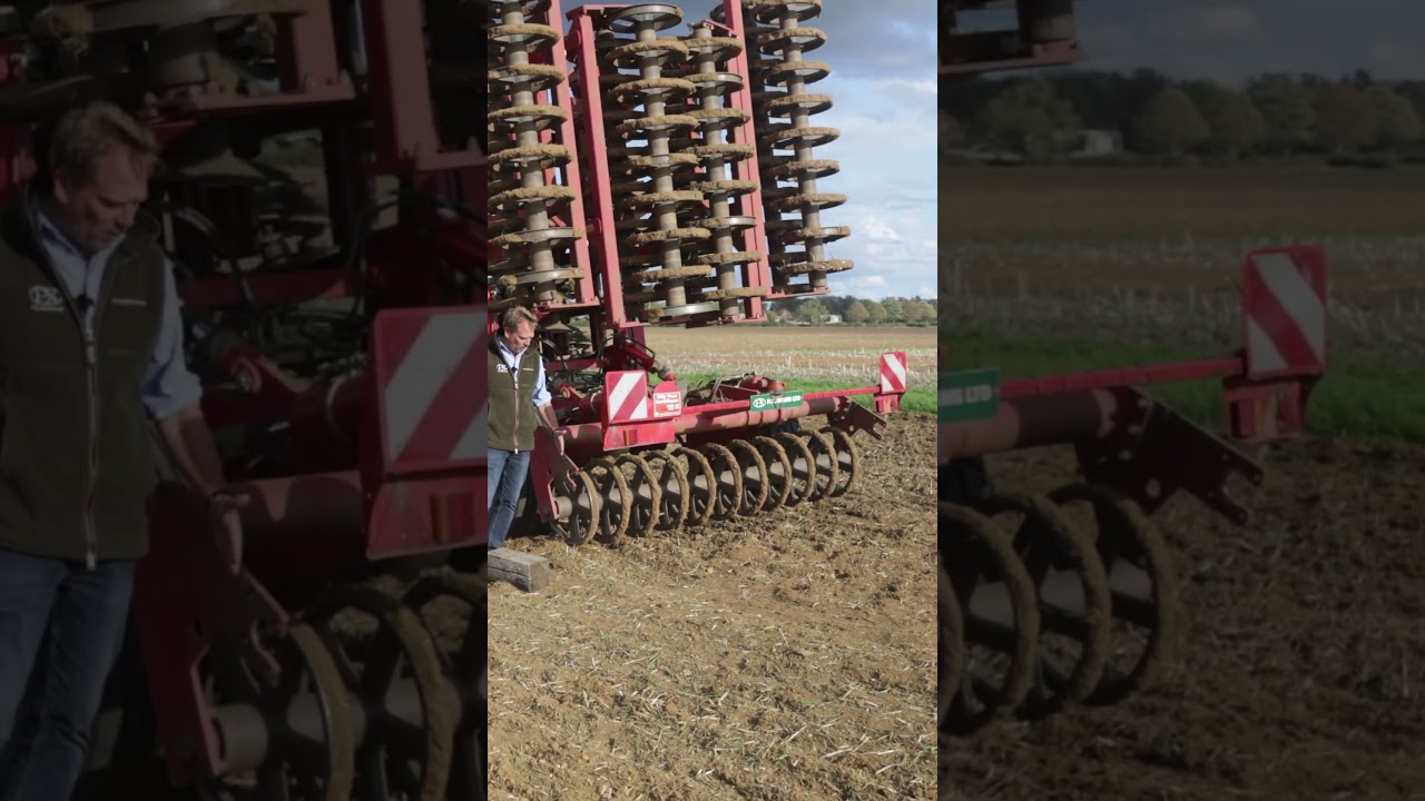 Drilling Finally Begins, and Our Oil Seed Rape Is Under Attack From Flea Beetle