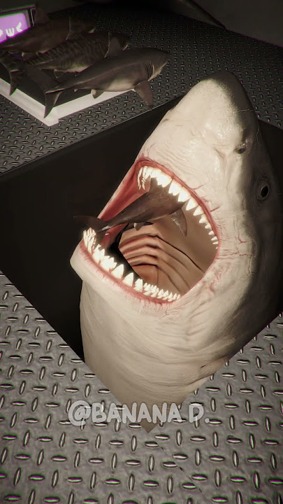 OHIO Baby Shark VS Baby Shark UmUmUm