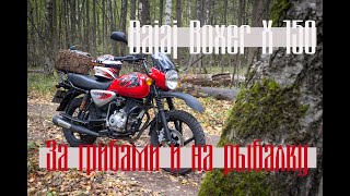 Боевой мотоцикл рыболова и грибника. Bajaj Boxer X150 - топовая бюджетность. Нераритетов обзор
