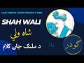 Malang Jan Kalaam | Shah Wali | Norway Mehfil | @ 2022 GUDAR All rights reserved