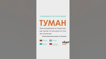 Тюркизмы в русском языке