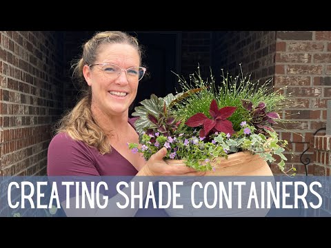 Video: Potschaduwplanten - Schaduwplanten kiezen voor containers