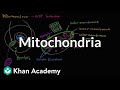 Mitochondria  structure of a cell  biology  khan academy