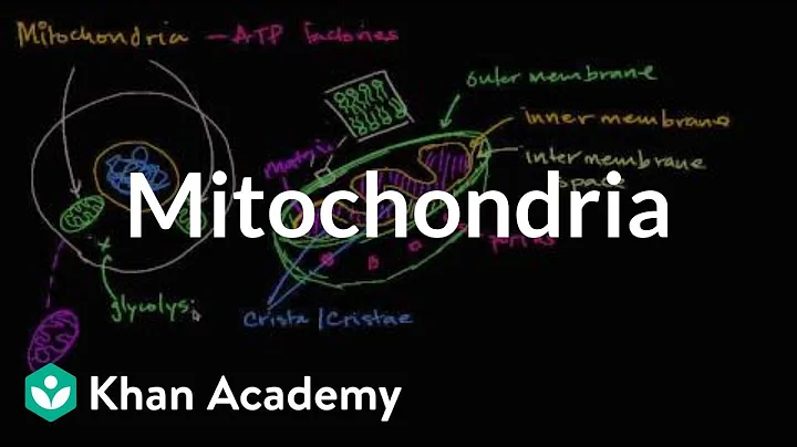 Mitochondria | Structure of a cell | Biology | Khan Academy