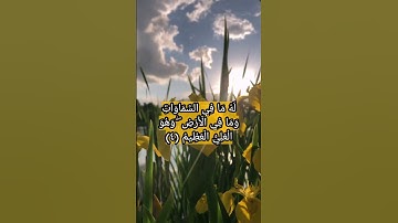 من سورة الشورى بصوت القارئ سعد الغامدي