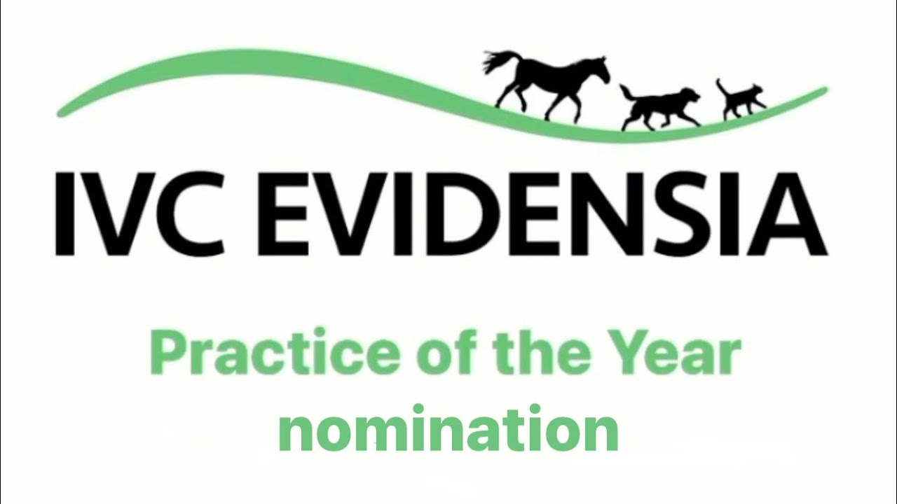 Taylor Veterinary Practice YouTube