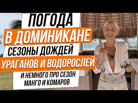 Погода в Доминикане - сезон дождей, ураганов и водорослей, и немного про сезон комаров, змей и манго