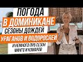 Погода в Доминикане - сезон дождей, ураганов и водорослей, и немного про сезон комаров, змей и манго