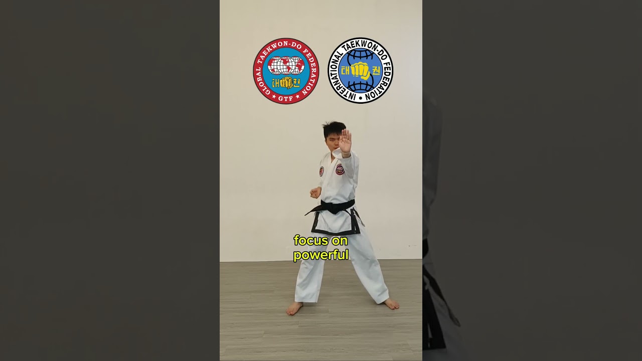 What is Taekwondo GTF?