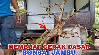 MEMBHAT GERAK DASAR BONSAI JAMBU BIJI #bonsai #trending #jambubiji
