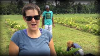 Global Learning Project  |  The Giving Field