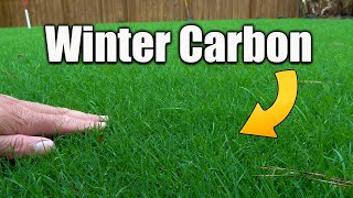 Winter Biochar and Carbon for Lawns