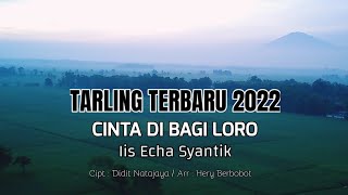 🔴CINTA DIBAGI LORO || IIS ECHA SHANTIK ( iis shatntika ) tarling terbaru 2022