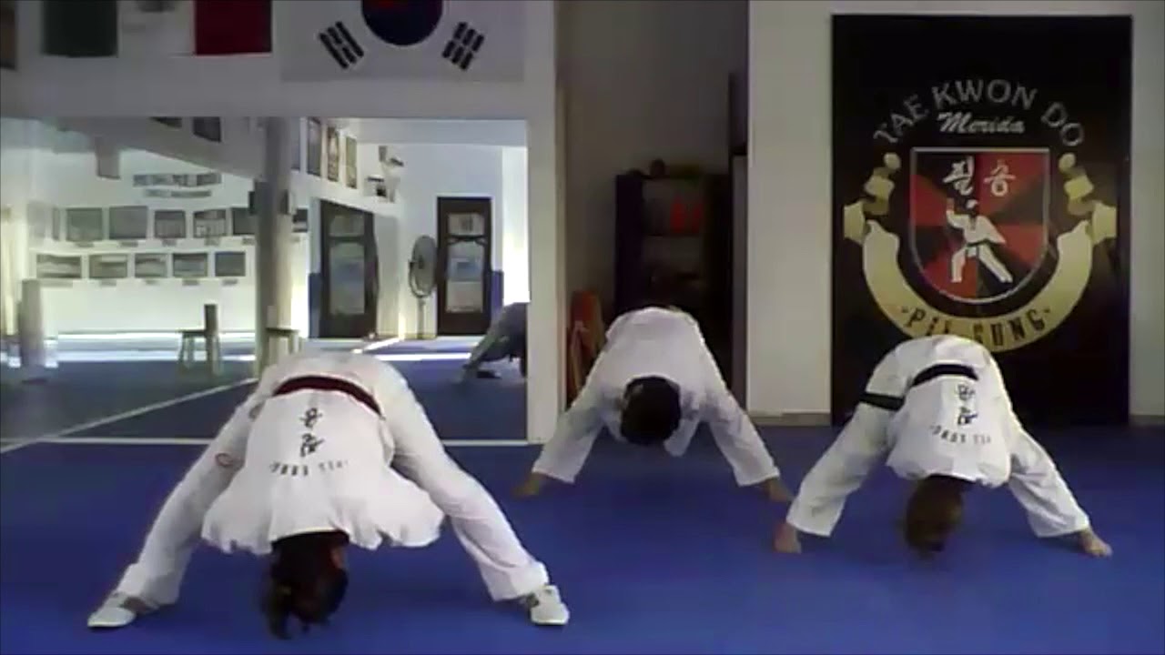 BASICOS-PRINCIPIANTES - YouTube