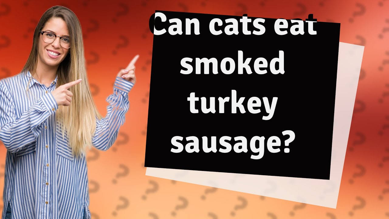 Can cats eat smoked turkey sausage? YouTube