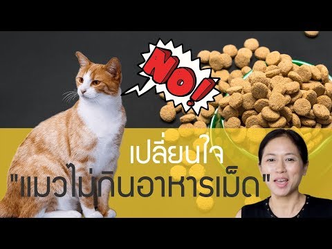 pettochi : เปลี่ยนใจ "แมวไม่กินอาหารเม็ด"