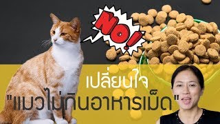 pettochi : เปลี่ยนใจ 'แมวไม่กินอาหารเม็ด'