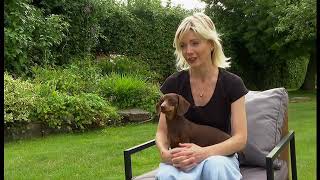 Twiglet: Kidnapped miniature dachshund reunited with owners after tipoff (UK) (2) 28/July/2023