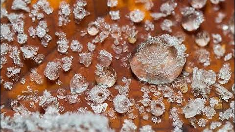 القرٱن الكريم بصوت القارئ محمد حسين سعيديان الجزء الثالث