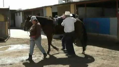 JOSE REFUGIO HERRERA ESCUELA DE CHARRERIA.avi