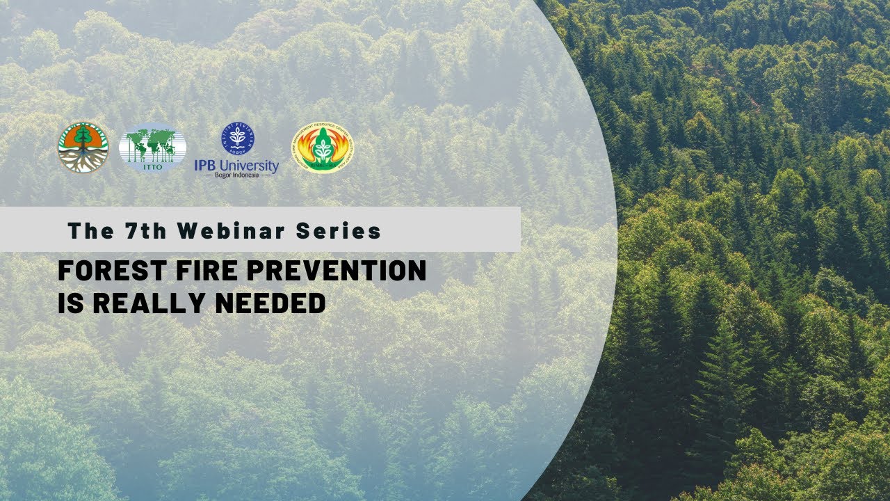 The 7th Webinar Series - YouTube